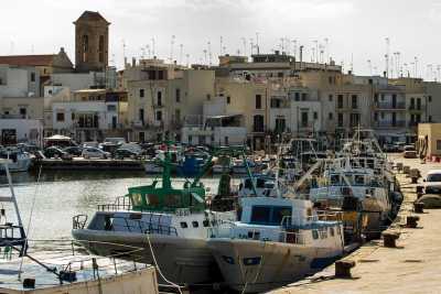 Porto, cantieri navali, mercato ittico e pescherecci: Mola e il suo stretto rapporto con il mare